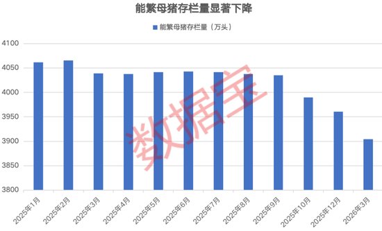 刚刚，美伊冲突再起！中国资产，大爆发！生猪价格显著反弹，多家猪企增持回购彰显信心